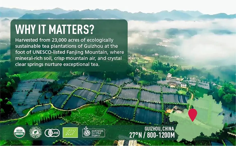 Matcha--Ceremonial Grade Organic Matcha Green Tea Powder,Premium First Harvest Unsweetened,1 0 0 Pure Matcha ForLattes,Smoothies,and Baking 60g 2.1oz-Ships From US-Tea-Coffee Mate Kore Shopping